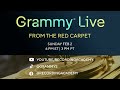GRAMMY Live From The Red Carpet Airs Sunday Feb. 2: Watch Red Carpet Interviews & Fashion Highlights