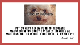Support The Canine Care Act