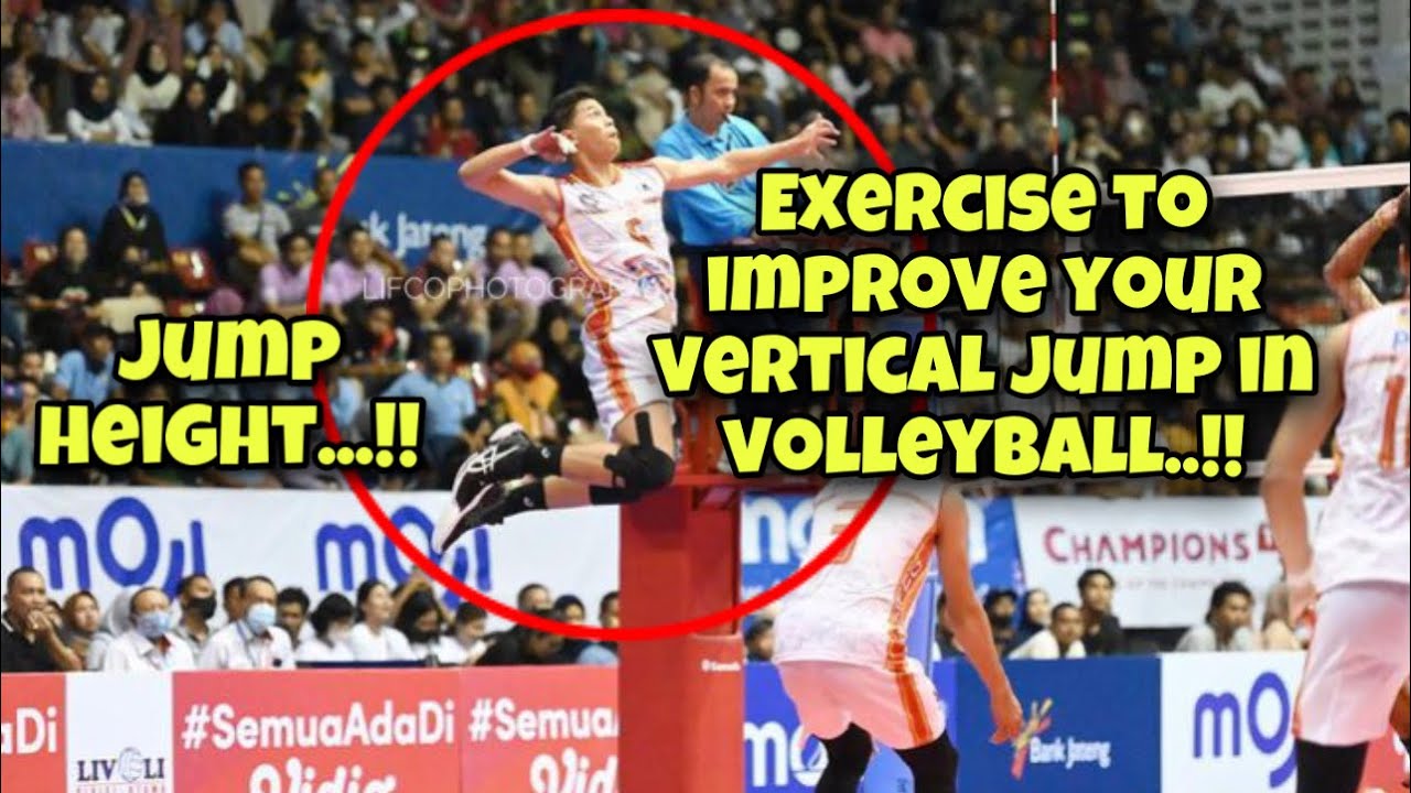 Exercise To Improve Your Vertical Jump in Volleyball (Jump Height