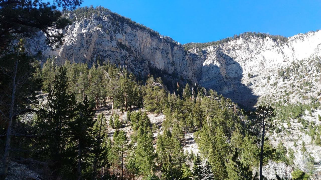 trails in the sky Hiking - Mary Jane Falls Trail - Mount Charleston, NV