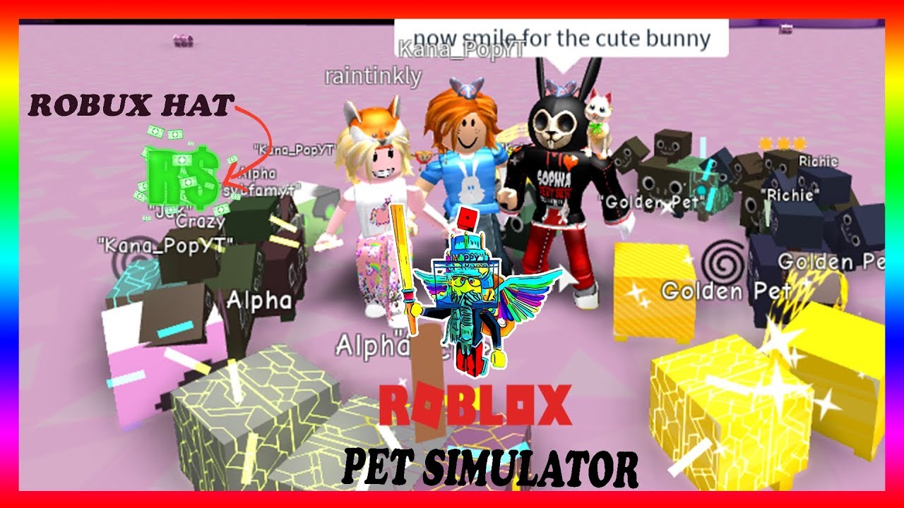 Will I Get Another Robux Hat Roblox Pet Simulator - 