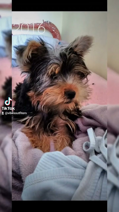 Where did the years go???🥺😐 #hearttouching #fyp #fy #fypシ゚viral #heartbreaking #cute 7 year diff!🥺