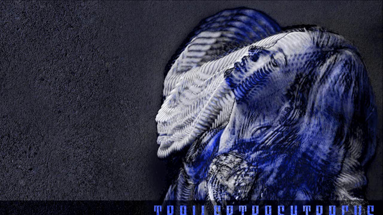 Trailer Trash Tracys / Candy Girl YouTube