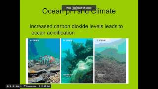 Trends in Climate Change