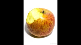 Rotting Apple Timelapse #Shorts