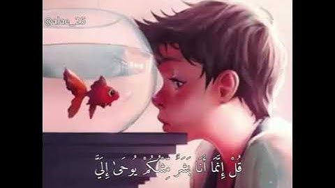 سورة فصلت - القارئ إسلام صبحي