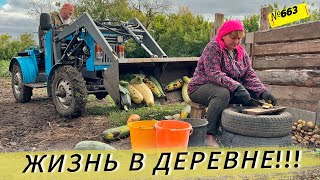 картинка: Один день из жизни Омской деревни. Наши будни.
