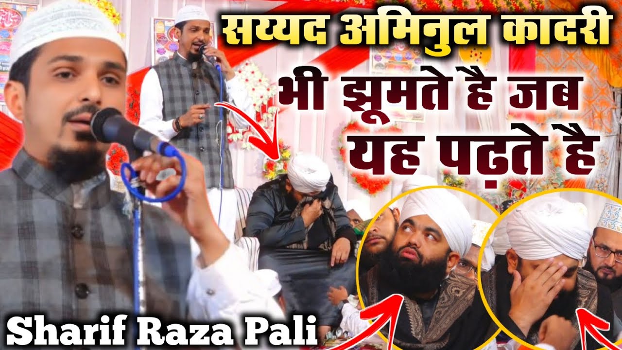 सय्यद अमिनुल कादरी भी झूमते है जब यह पढ़ते हैं By Sharif Raza Pali With Sayyed Aminul Qadri Sahab 
