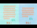 Understanding brca mutations and risk