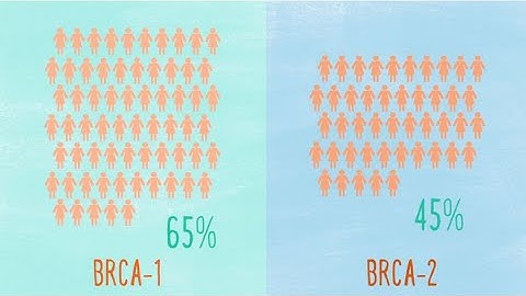 Understanding BRCA Mutations and Risk