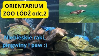 Orientarium Zoo Łódź odc 2 Kapibara, Żyrafy, pingwiny i paw :).