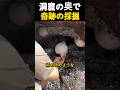 洞窟の奥で発見された奇跡の白い球体