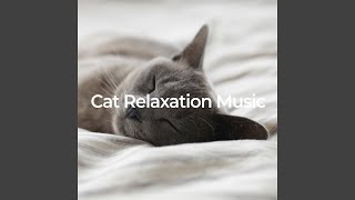 Calm Cat Dreams (No Fade, Loopable)