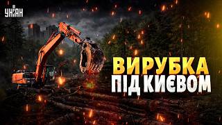 ГУЧНИЙ СКАНДАЛ під Києвом! У Пущі-Водиці ВИРУБАЮТЬ ЛІС: українці Б'ЮТЬ НА СПОЛОХ