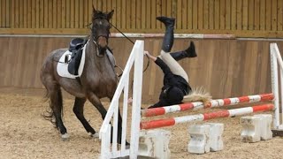 Horse FALLS and FAILS 2024 compilation | funny and bad horse falls