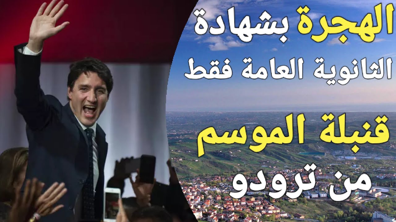 نيو برونزويك الكندية