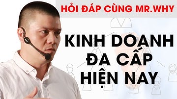 Sự thật của mô hình kinh doanh ĐA CẤP hiện nay | Phạm Ngọc Anh - Mr Why