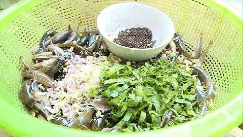 Video Bắt cá suối truyền thống của người Thái Lai Châu