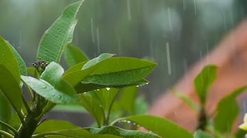 آيات تحريم الربا  🙁بصوت رائع ما شاء الله سبحان من رزقه هذا الصوت❤🤲🤲