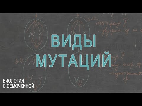 Виды мутаций