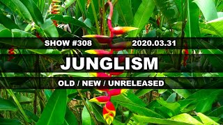 Junglism in the Blanket Fort. Show 308.