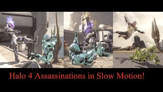 Halo 4 - All Multiplayer Assassinations in Slow Motion + Showcase