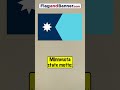 The Minnesota Flag Explained Flag Facts History Flag Minnesota Usa Vexillology