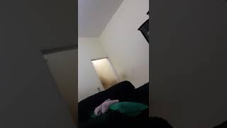 Chamada Globo Cinema 2004