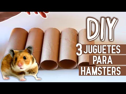 🎬 Video relacionado con juguetes para hamster