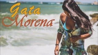 Video thumbnail of "Gata Morena - Lolass Pires"