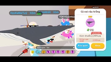 PLAY TOGETHER l CẦN GỖ AUTO DÍNH CÁ VOI RÂU TRẮNG 2399cm