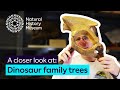 Natural History Museum's Paleontology Collections Quiz