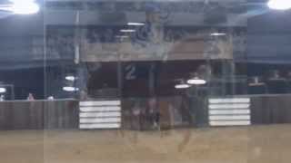 Snickers Cool Videos Edit Video Must Watch