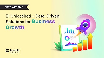BI Unleashed: Data-Driven Solutions for Business Growth