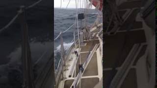 IMG 6736