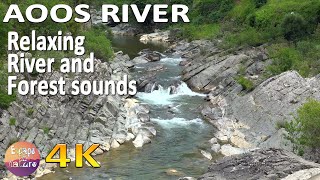 4K Nature sounds - Forest river - Birds singing - Flowing water sounds-Meditation Relaxation Sleep