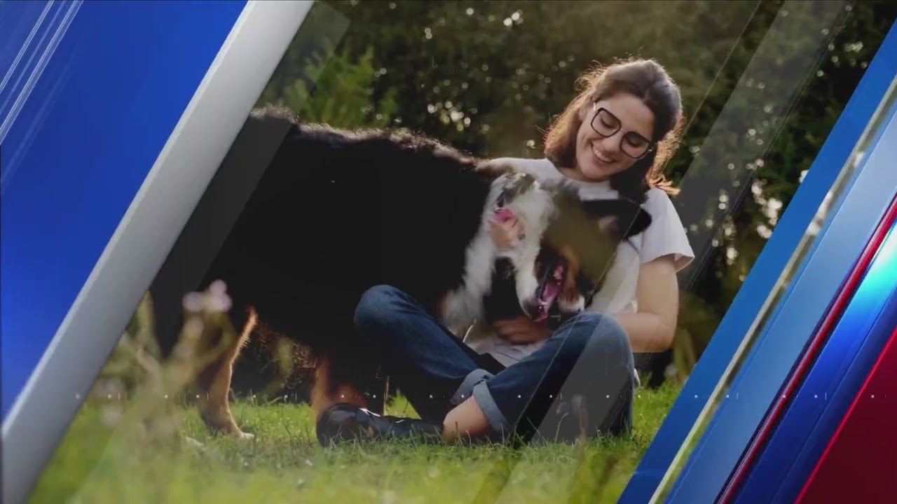 Rubyeat Friend Furry Friends: Ruby is ready for her forever home - YouTube
