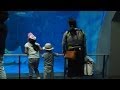 いおワールドかごしま水族館 2014　Kagoshima City Aquariu の動画、YouTube動画。