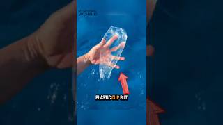 This Looks Like Plastic But Its Alive