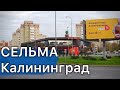 Цены на Продукты. Новый рынок "Сельма" в Калининграде.