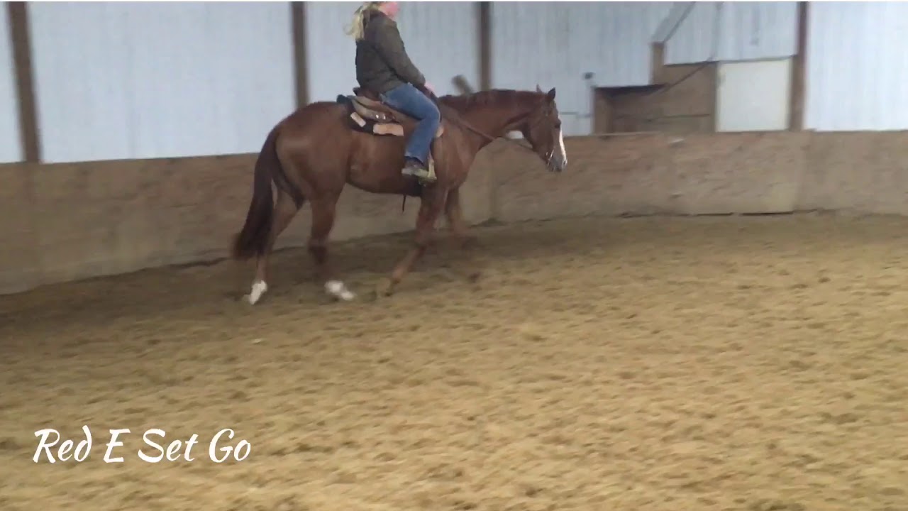 Red E Set Go 2017 AQHA Iron Enterprise Gelding For Sale YouTube