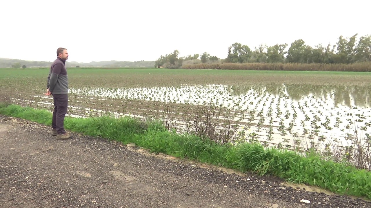 El sector reclama un plan especial y urgente para poder paliar los efectos del tren de borrascas