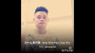 Wei She Me Li Kai Wo mandarin song Jerry Nen