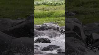Hiking adventure in Sarek National Park, Sweden 26