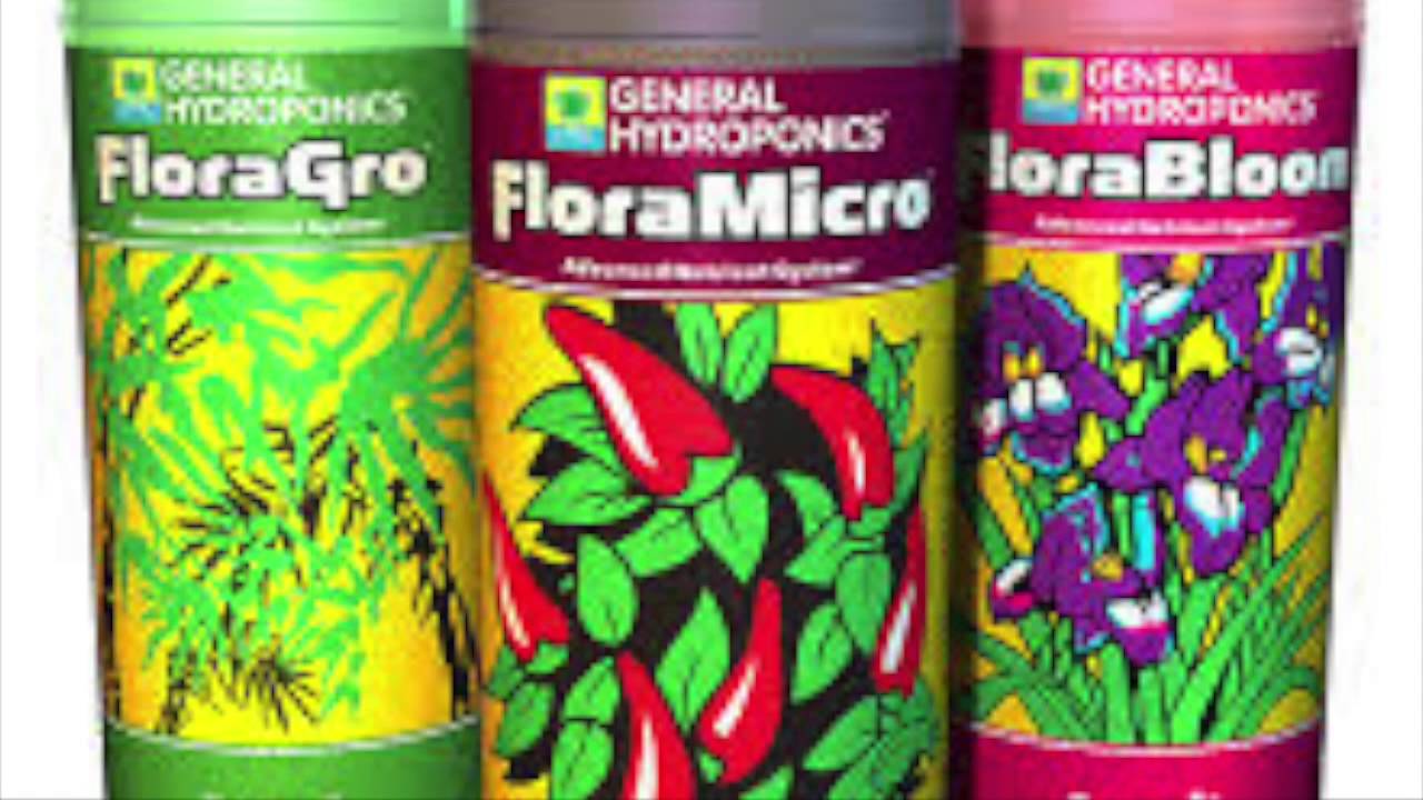 Funky Fresh Garden Show - General Hydroponics