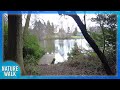 Walking through the greenery by the lake (Nature Visualizer)