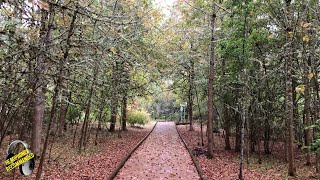 Walking in the Rain in Happy Valley, Oregon | 3D Binaural Umbrella Sounds ASMR 4K