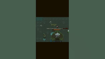 Novice Set vs Umbra - Curse of Aros #curseofaros #edits #shorts #games