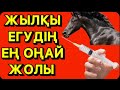 Жылқы-егудің ең оңай жолы.Дүйсенбек ағамызбен...!!!