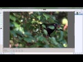 How To Add More Blur To an Image to fake an aperture of f1.8 using a kit lens.